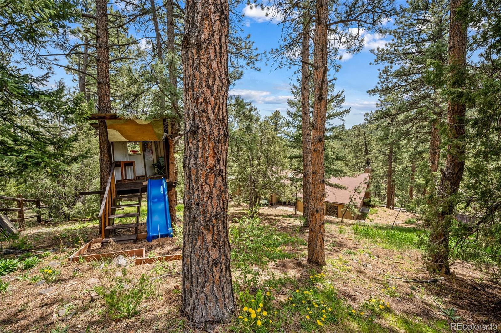 MLS Image #33 for 30315  lone spruce road,evergreen, Colorado