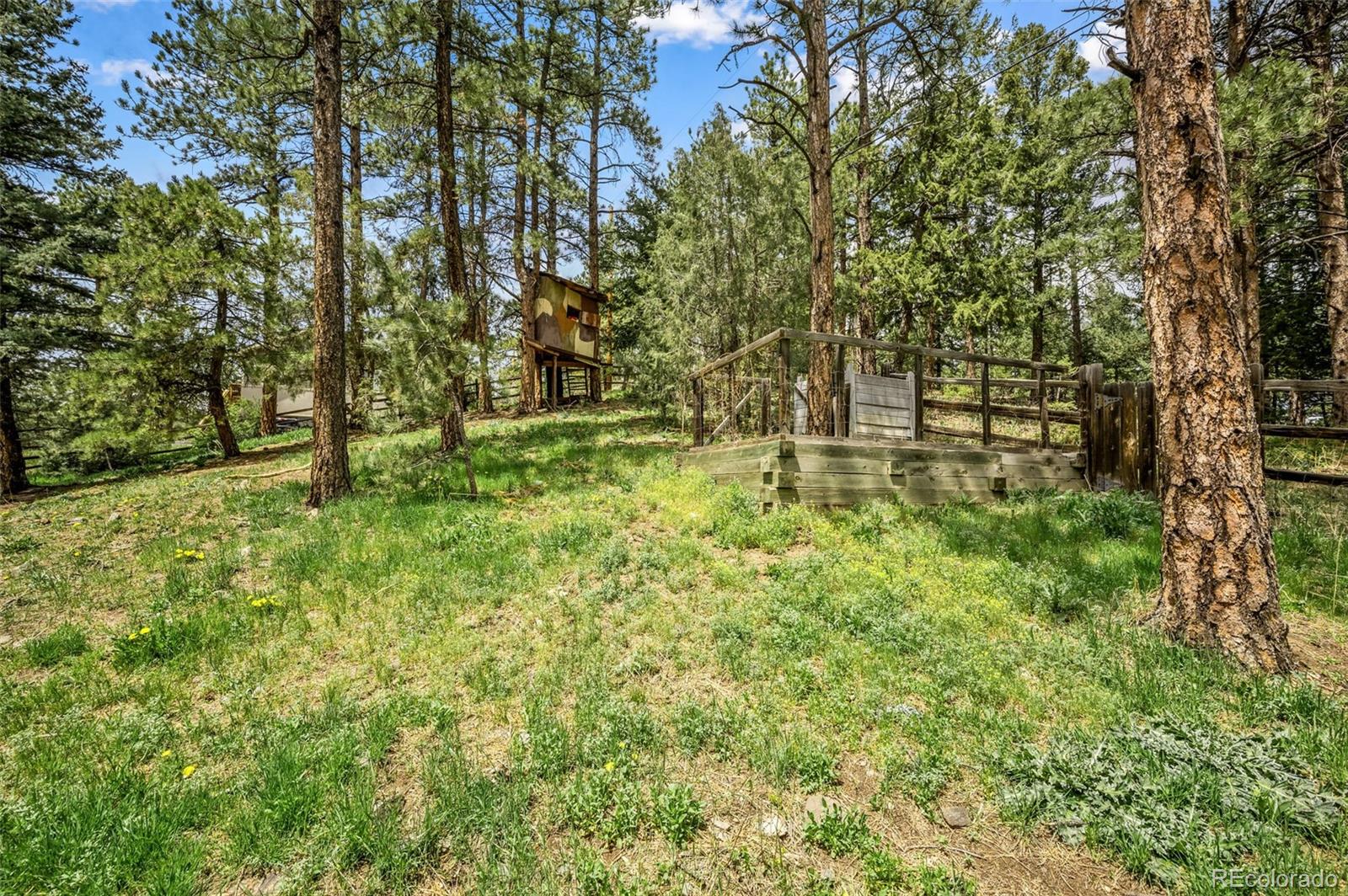 MLS Image #35 for 30315  lone spruce road,evergreen, Colorado