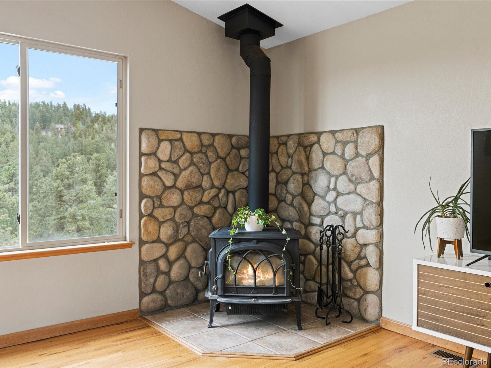 MLS Image #10 for 637  yellow pine drive,bailey, Colorado