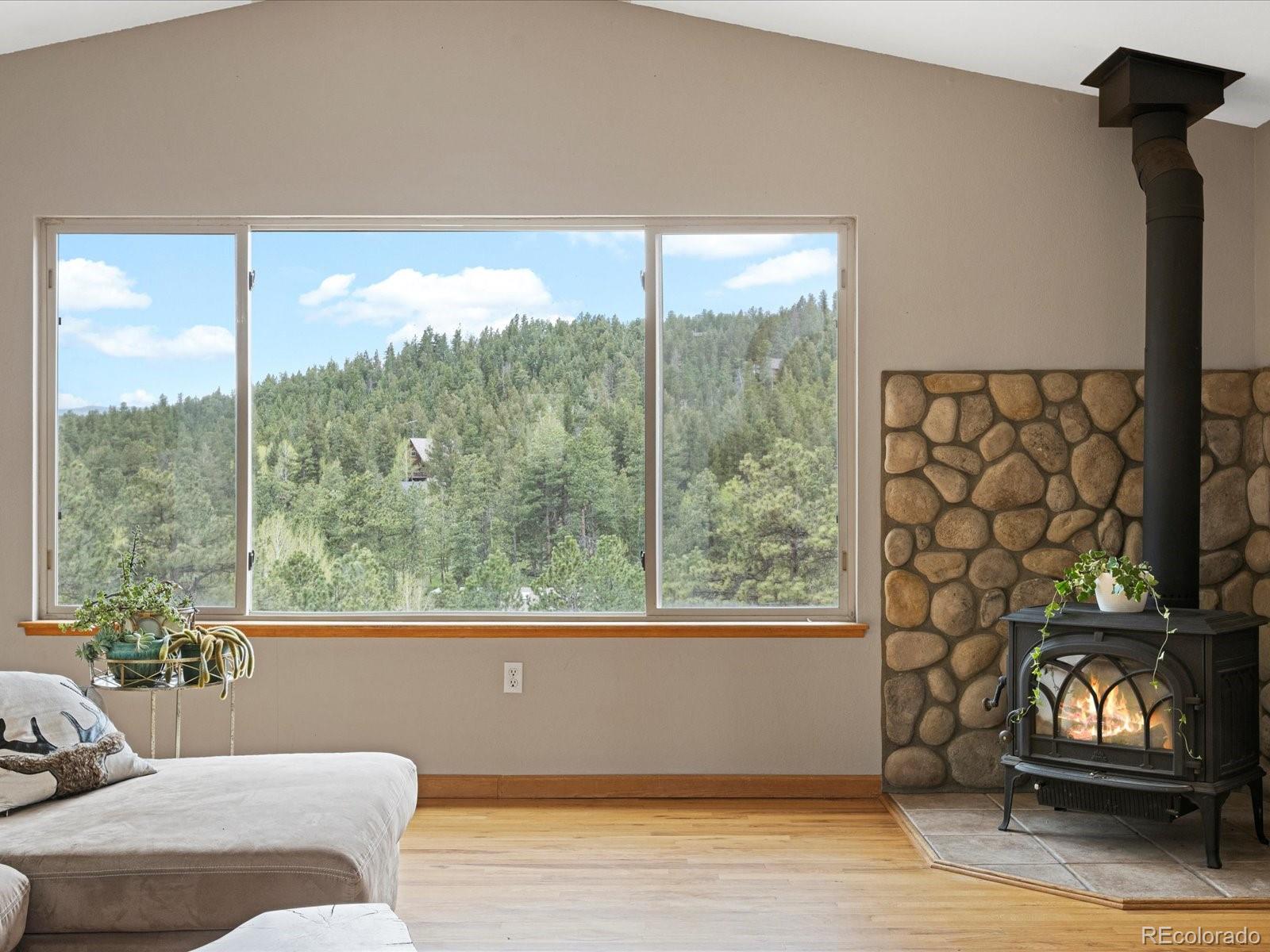 MLS Image #9 for 637  yellow pine drive,bailey, Colorado