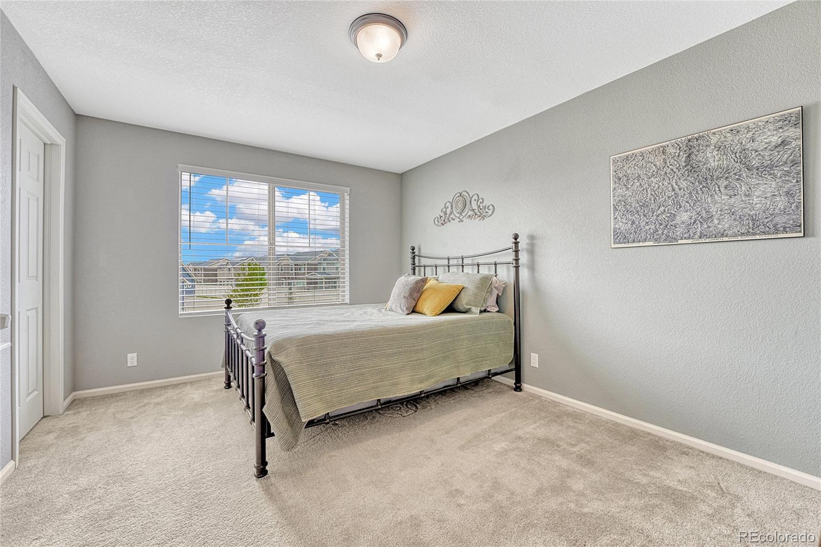 MLS Image #19 for 18206 e 53rd drive,denver, Colorado