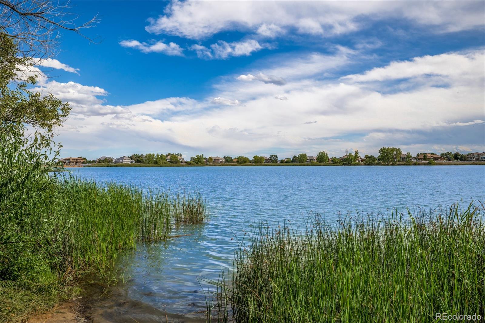 MLS Image #46 for 1795  bingham court,broomfield, Colorado