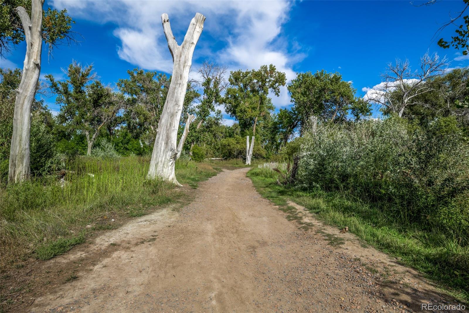 MLS Image #47 for 1795  bingham court,broomfield, Colorado