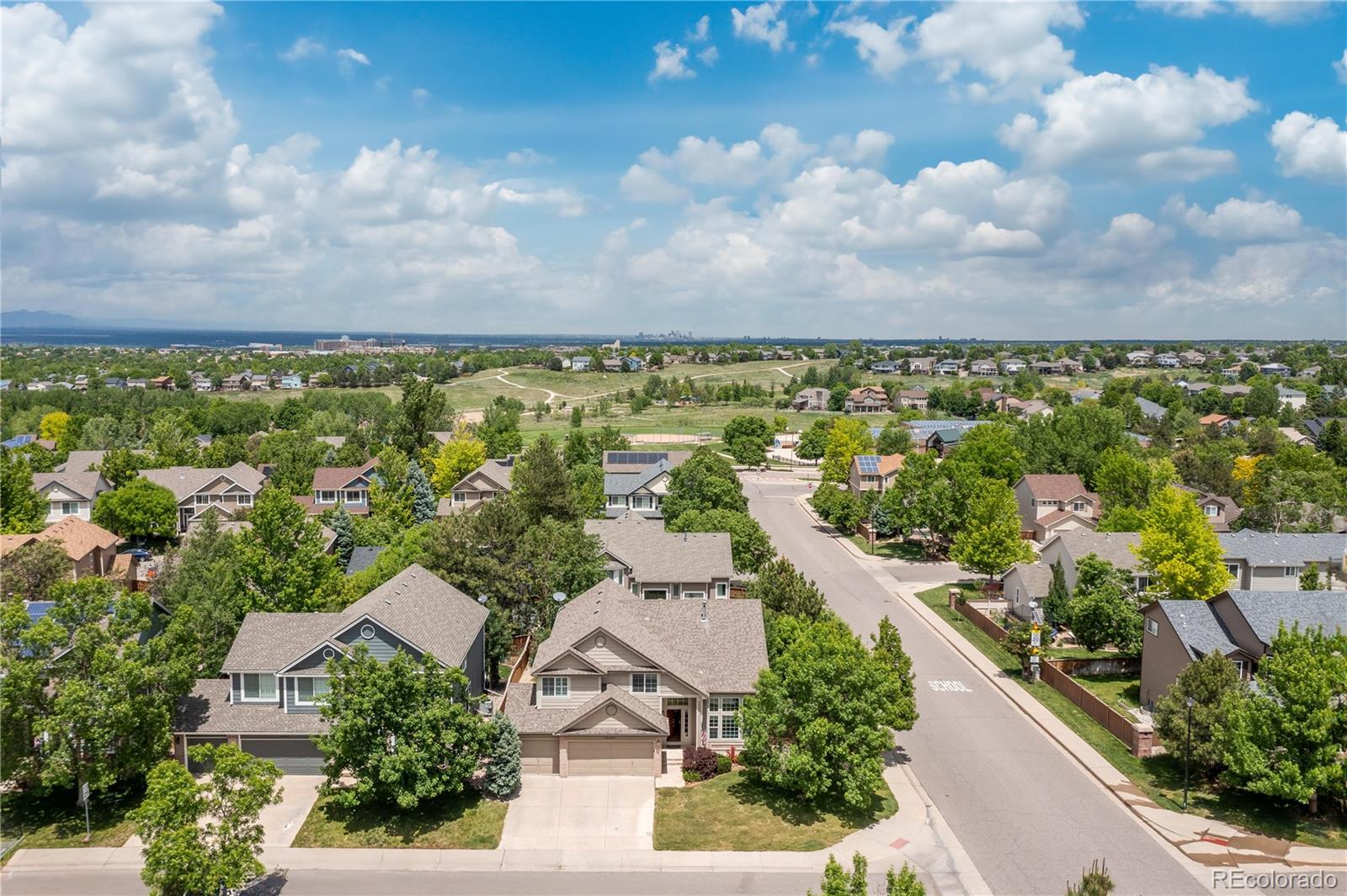 Report Image for 10201  Royal Eagle Lane,Highlands Ranch, Colorado