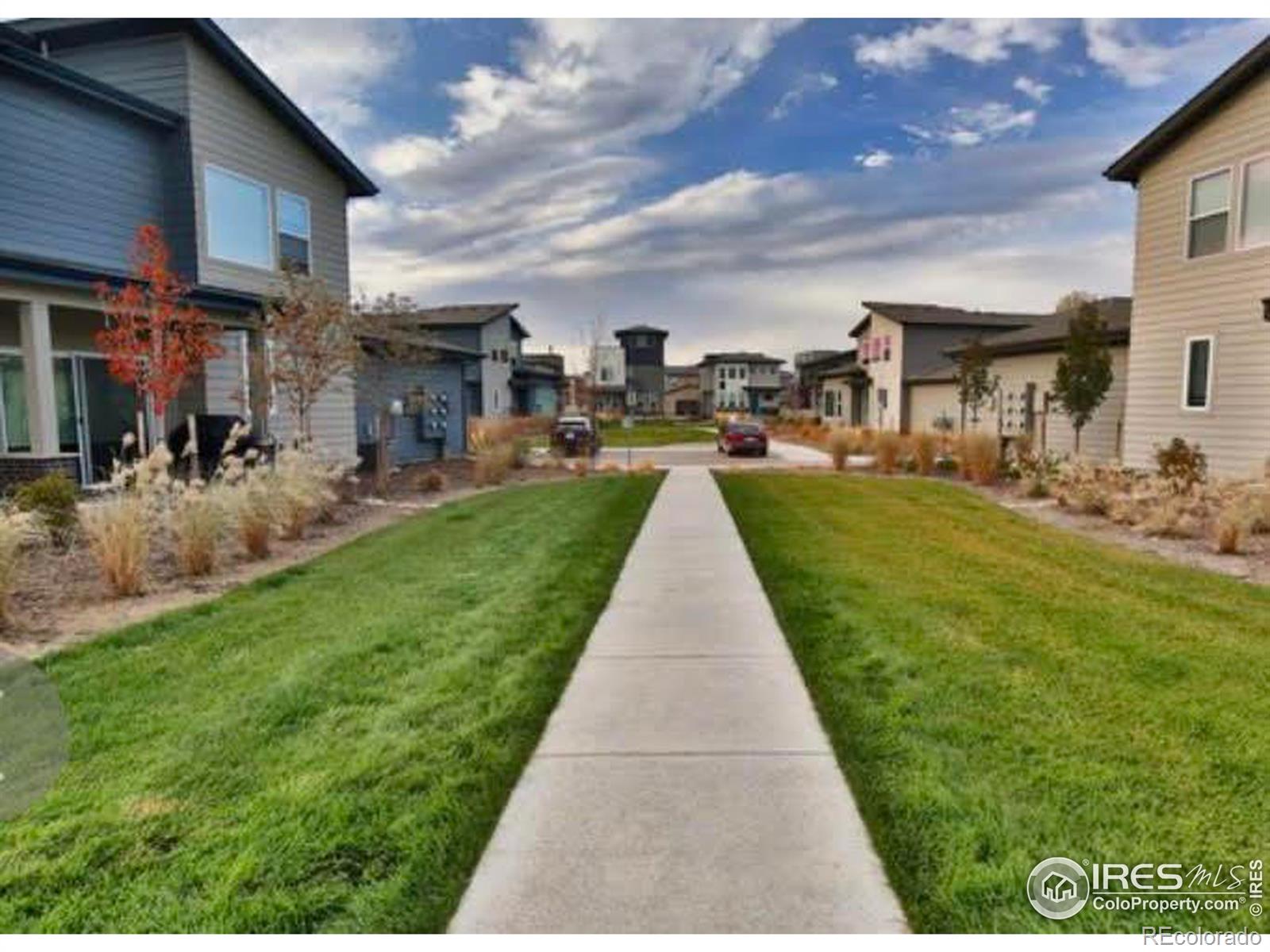 MLS Image #17 for 2257  shandy street,fort collins, Colorado