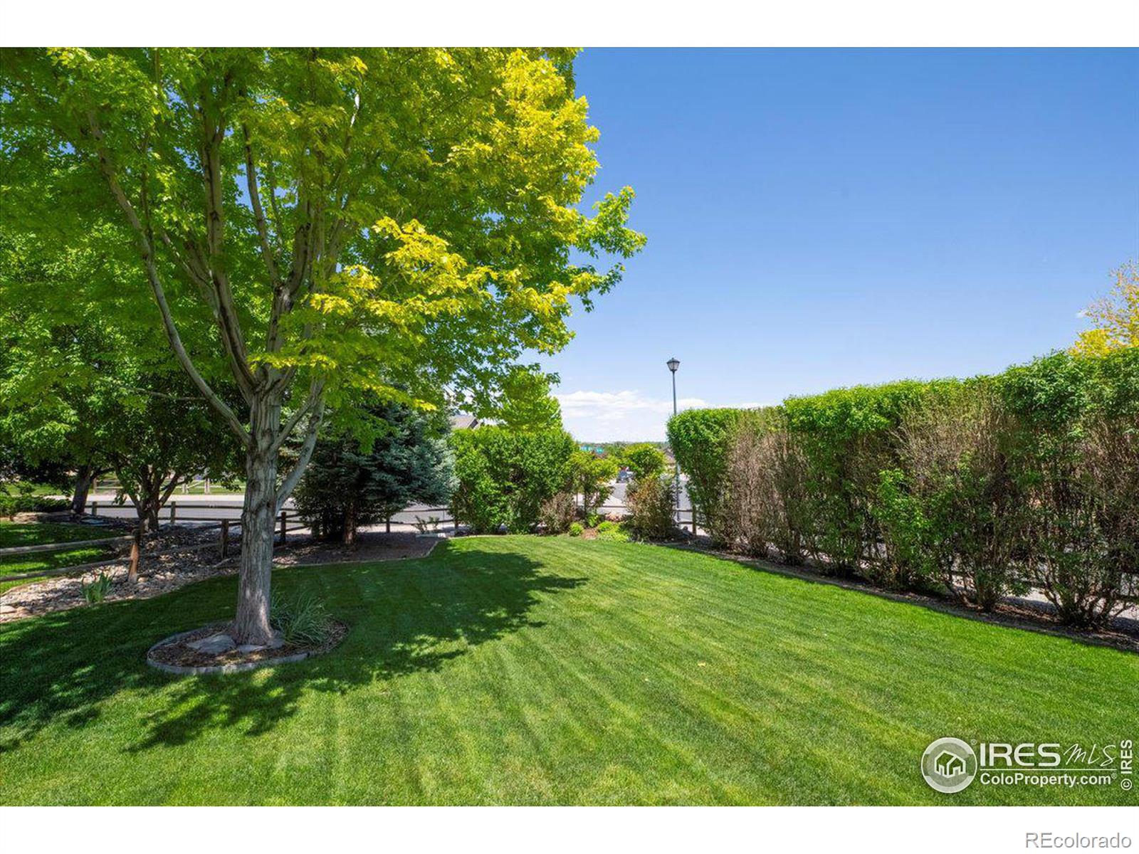 MLS Image #34 for 1787  dolores river court,windsor, Colorado