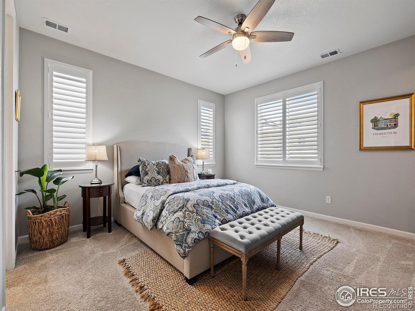 MLS Image #20 for 1858  ruddlesway drive,windsor, Colorado