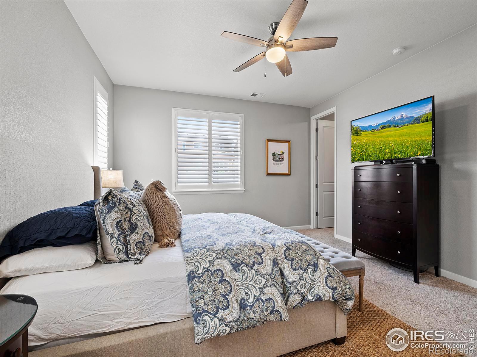 MLS Image #21 for 1858  ruddlesway drive,windsor, Colorado