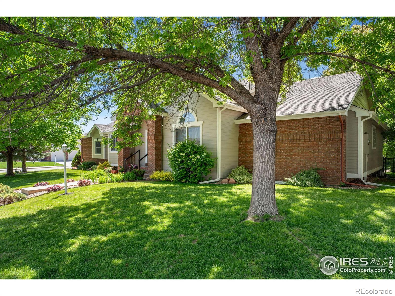 CMA Image for 2706  granada drive,Loveland, Colorado