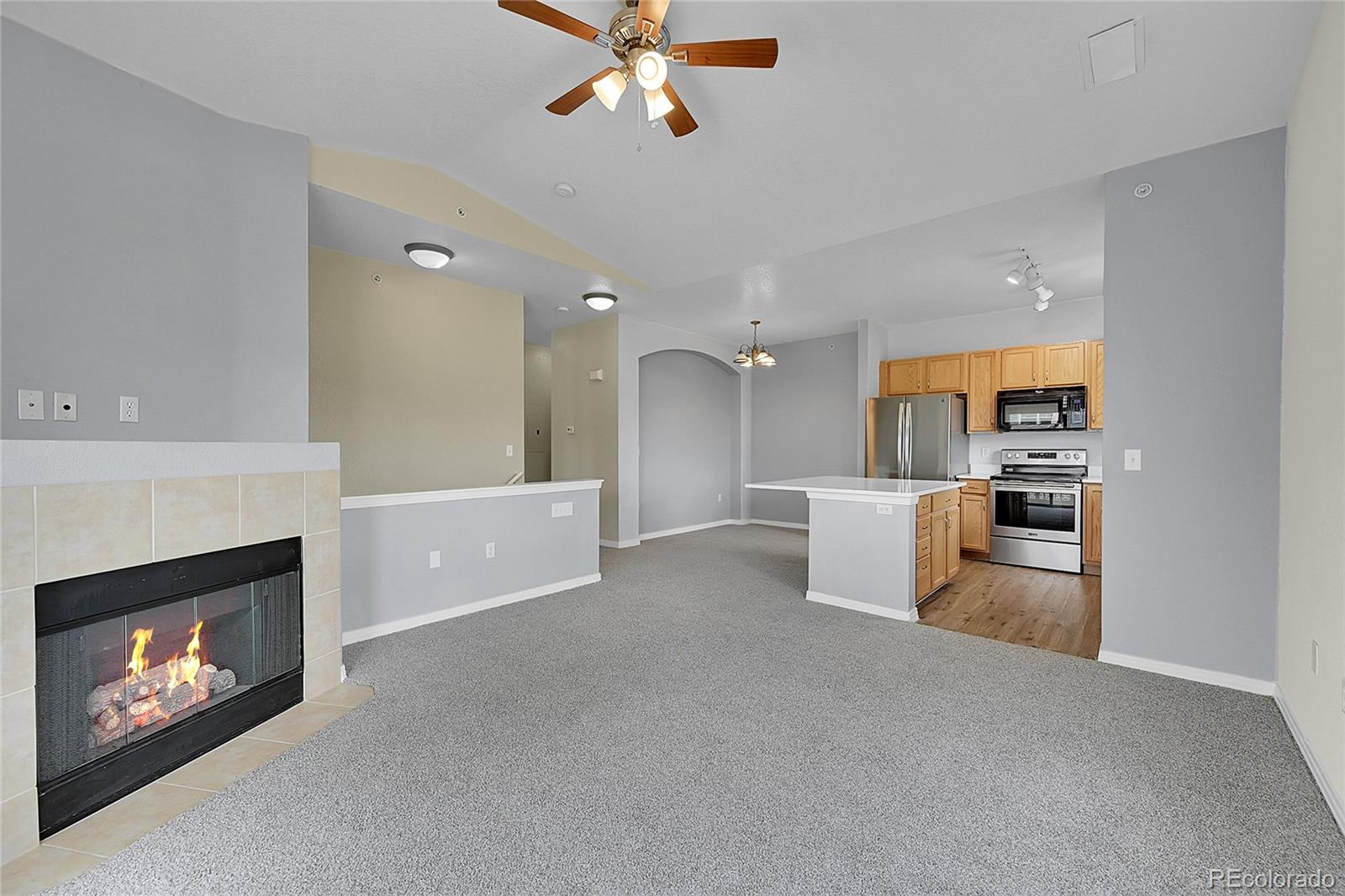 MLS Image #6 for 9387  ashbury circle,parker, Colorado