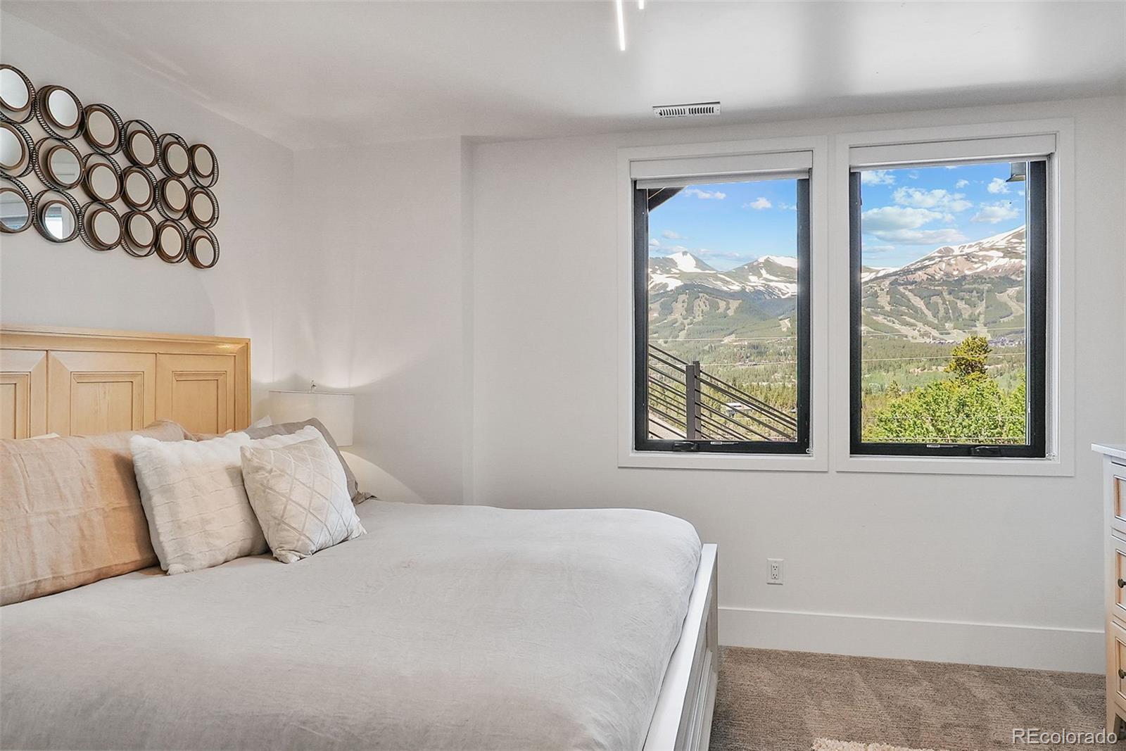 MLS Image #26 for 393  cr 452 ,breckenridge, Colorado