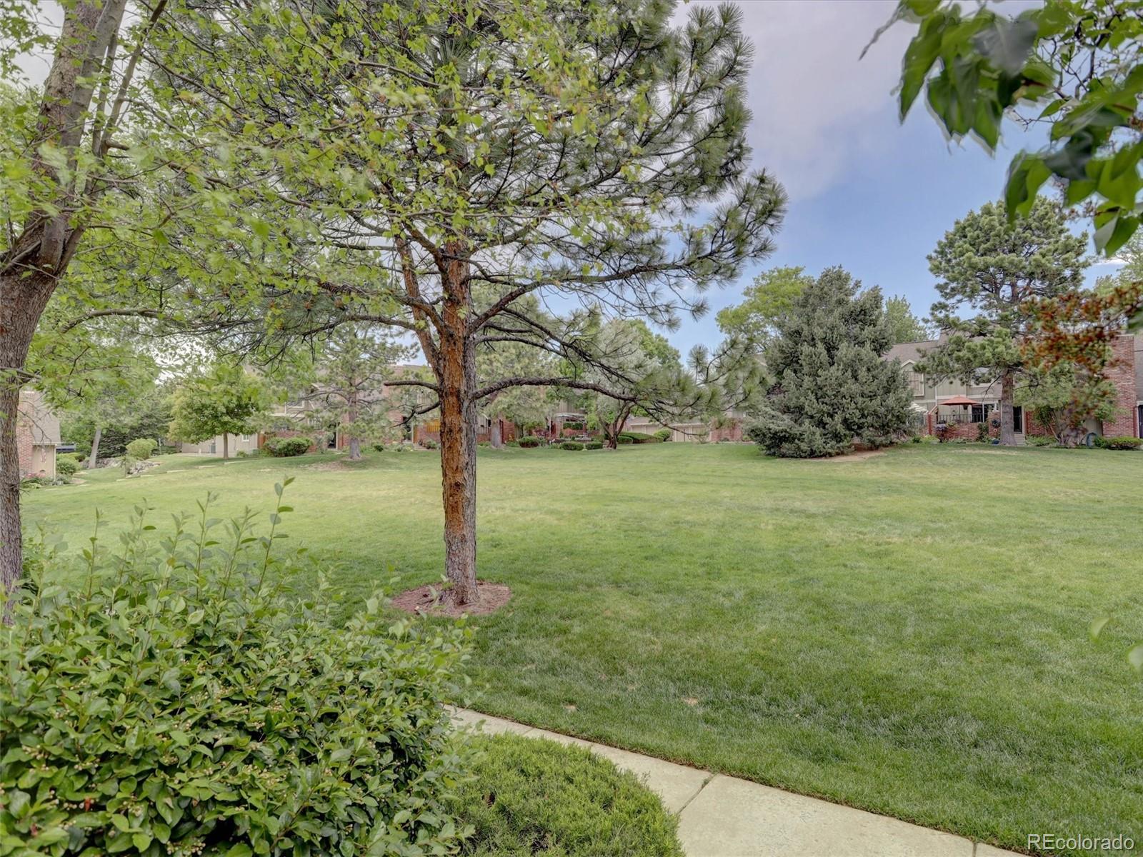 MLS Image #29 for 11634  elk head range road ,littleton, Colorado