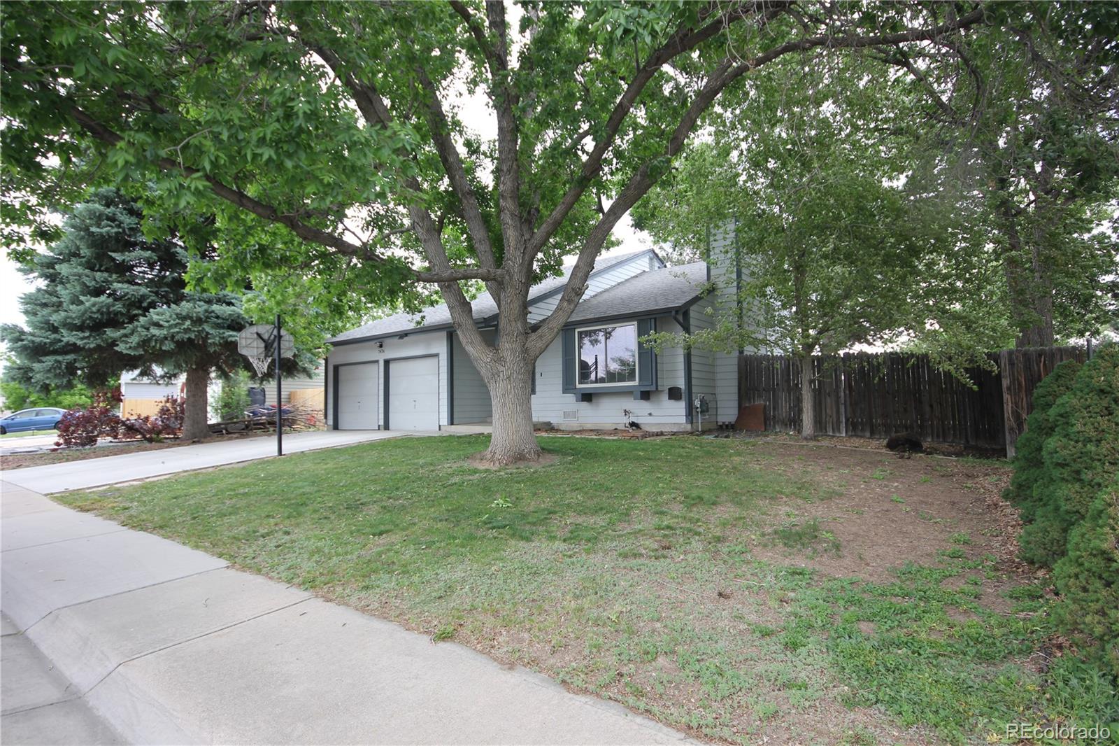 MLS Image #2 for 7476  chase street,arvada, Colorado