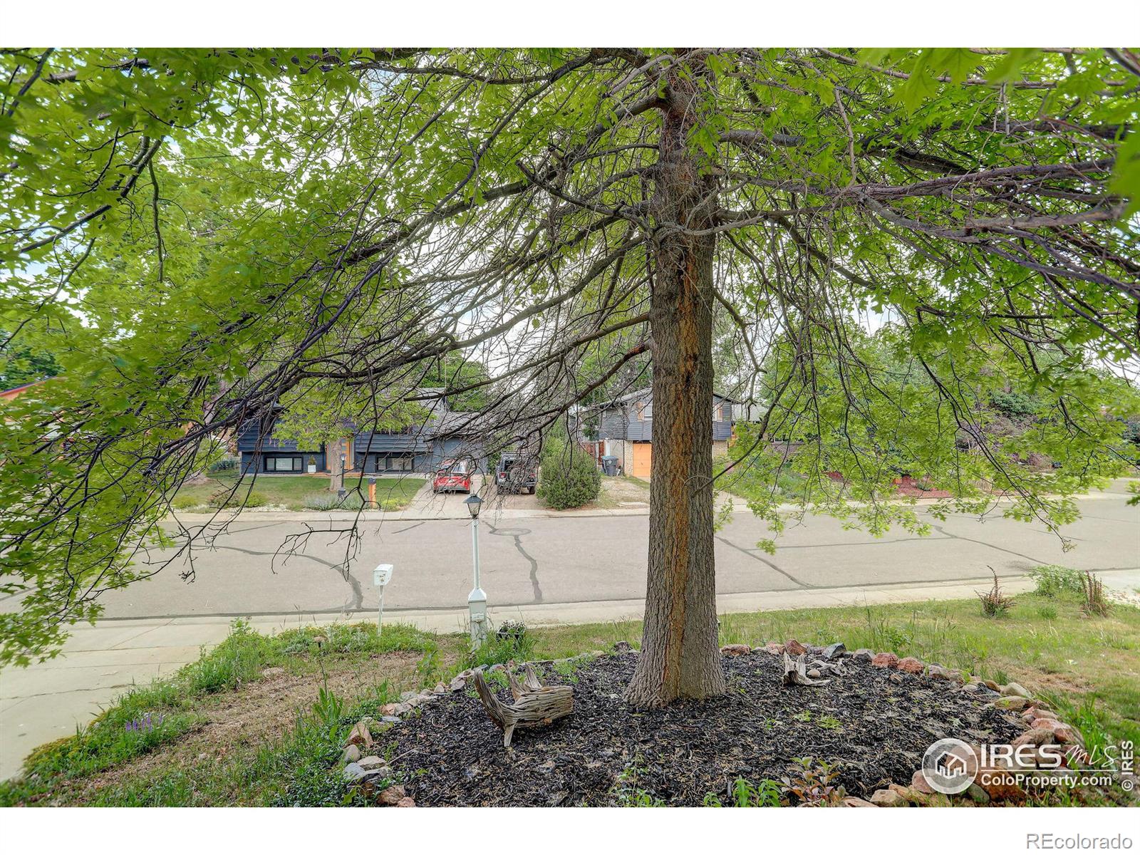 MLS Image #4 for 1410 s terry street,longmont, Colorado