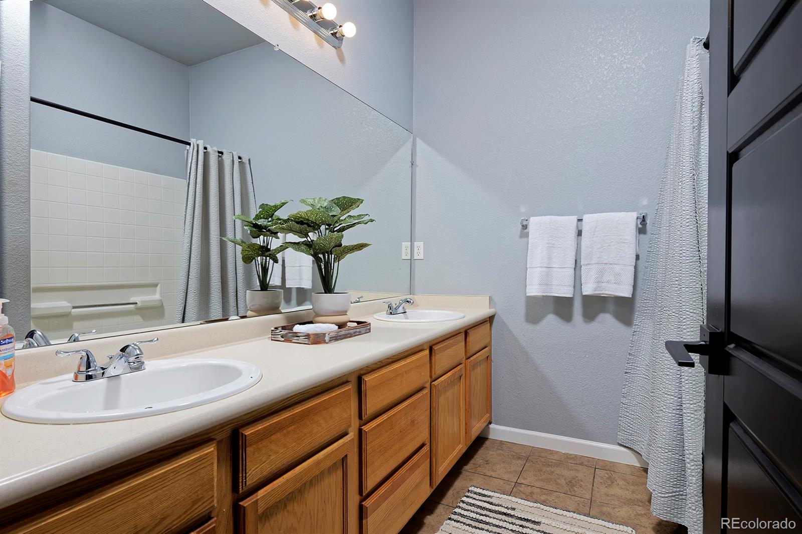 MLS Image #32 for 21366 e 49th place,denver, Colorado