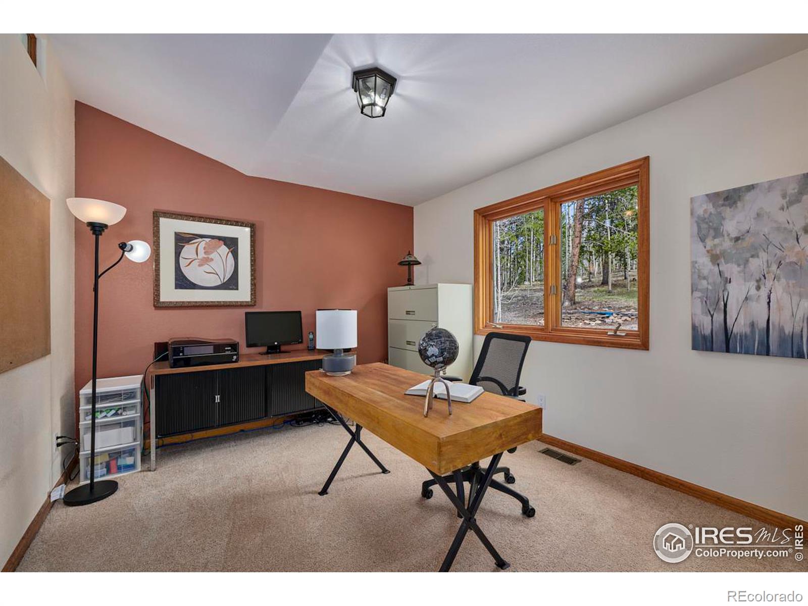 MLS Image #18 for 54  fox road,black hawk, Colorado