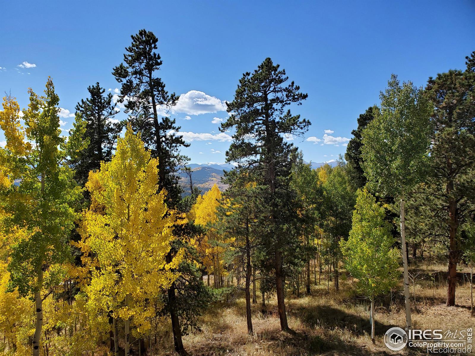 MLS Image #37 for 54  fox road,black hawk, Colorado