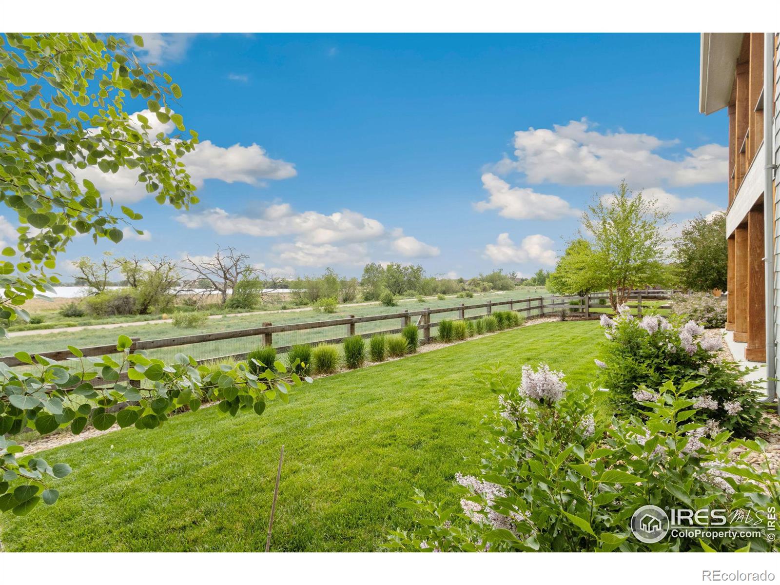 MLS Image #34 for 2536  bluestem willow drive,loveland, Colorado