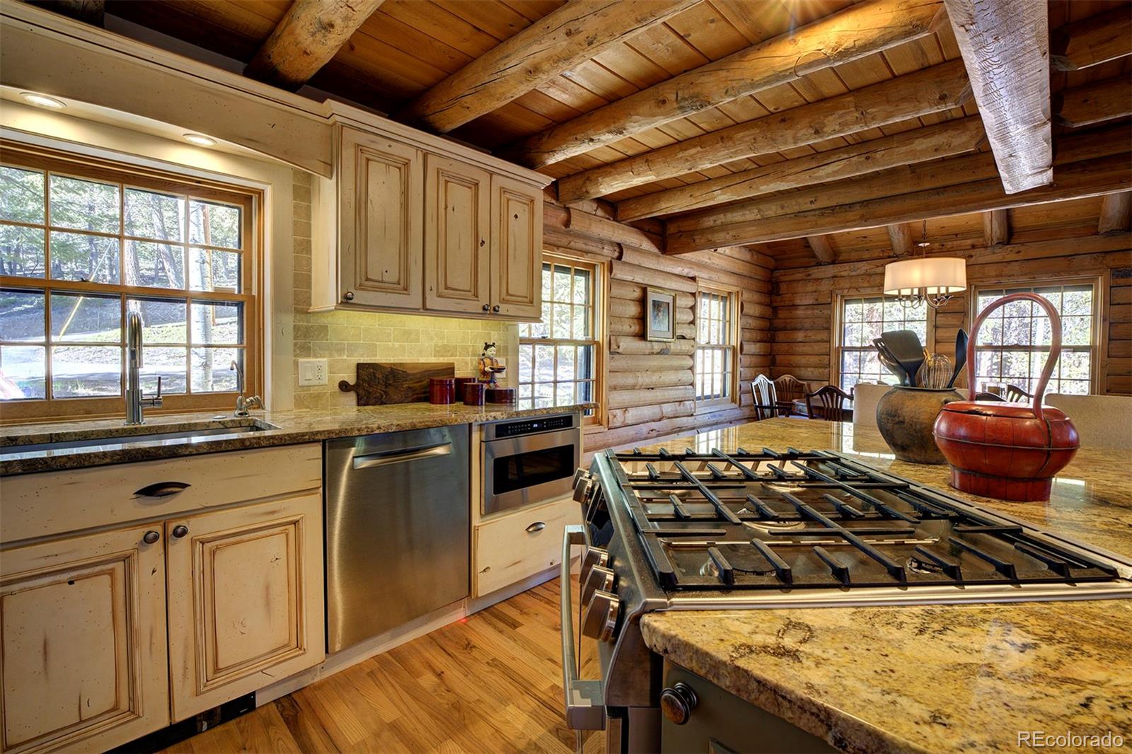 MLS Image #7 for 9670 s warhawk road,conifer, Colorado