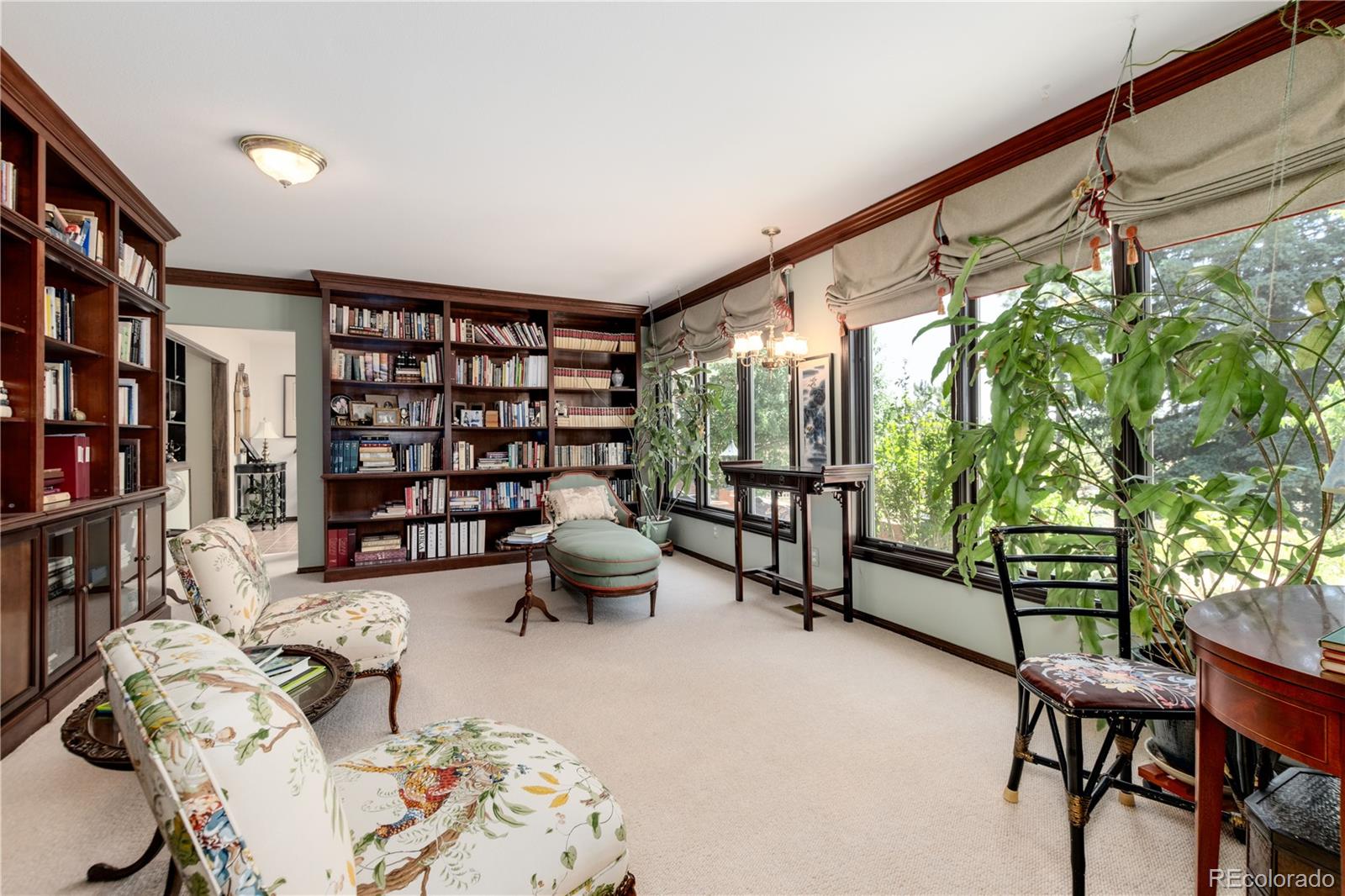 MLS Image #19 for 7846  village road,parker, Colorado
