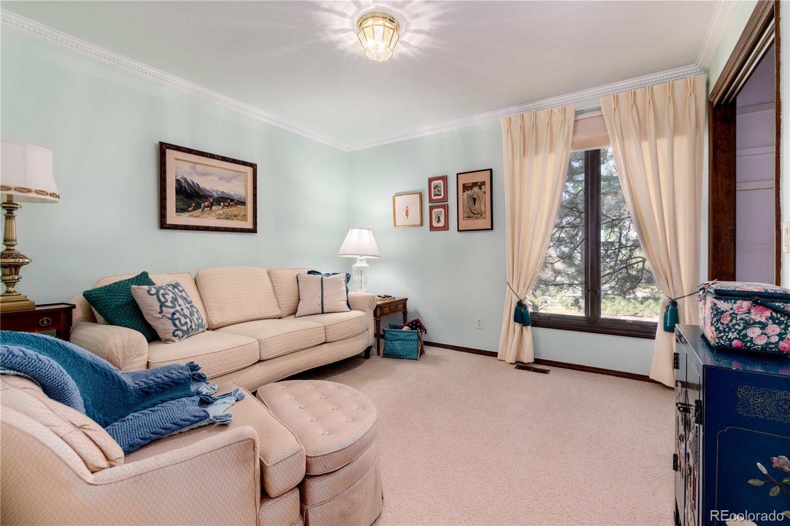 MLS Image #28 for 7846  village road,parker, Colorado