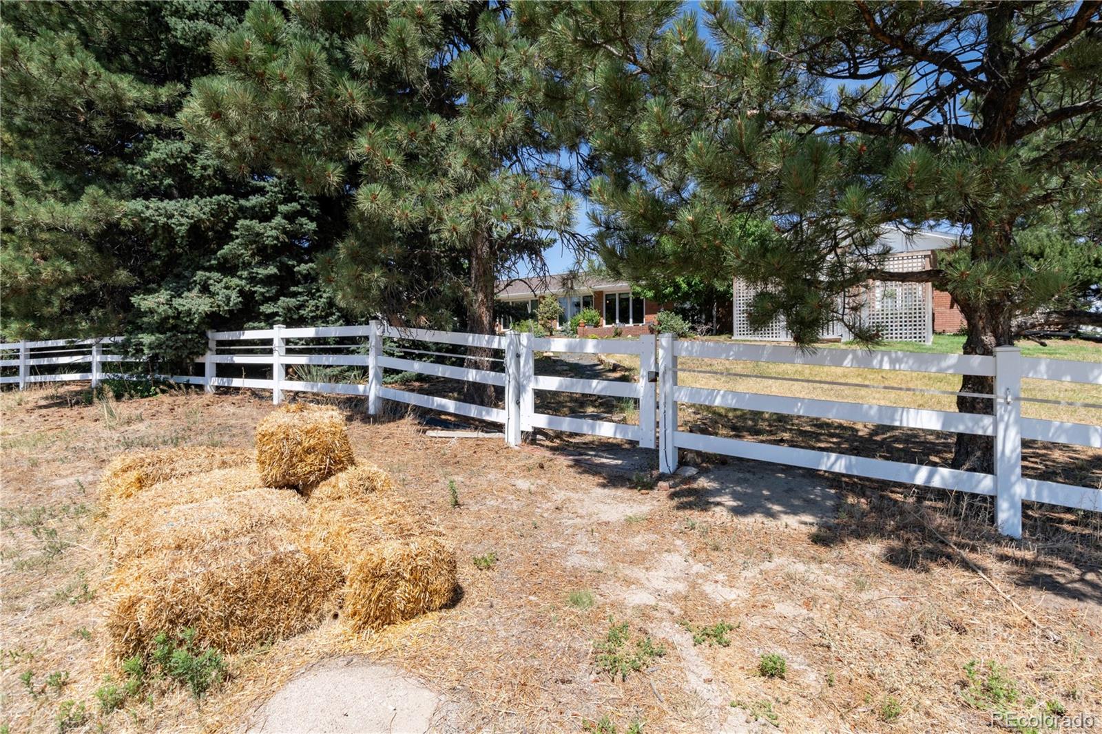 MLS Image #40 for 7846  village road,parker, Colorado