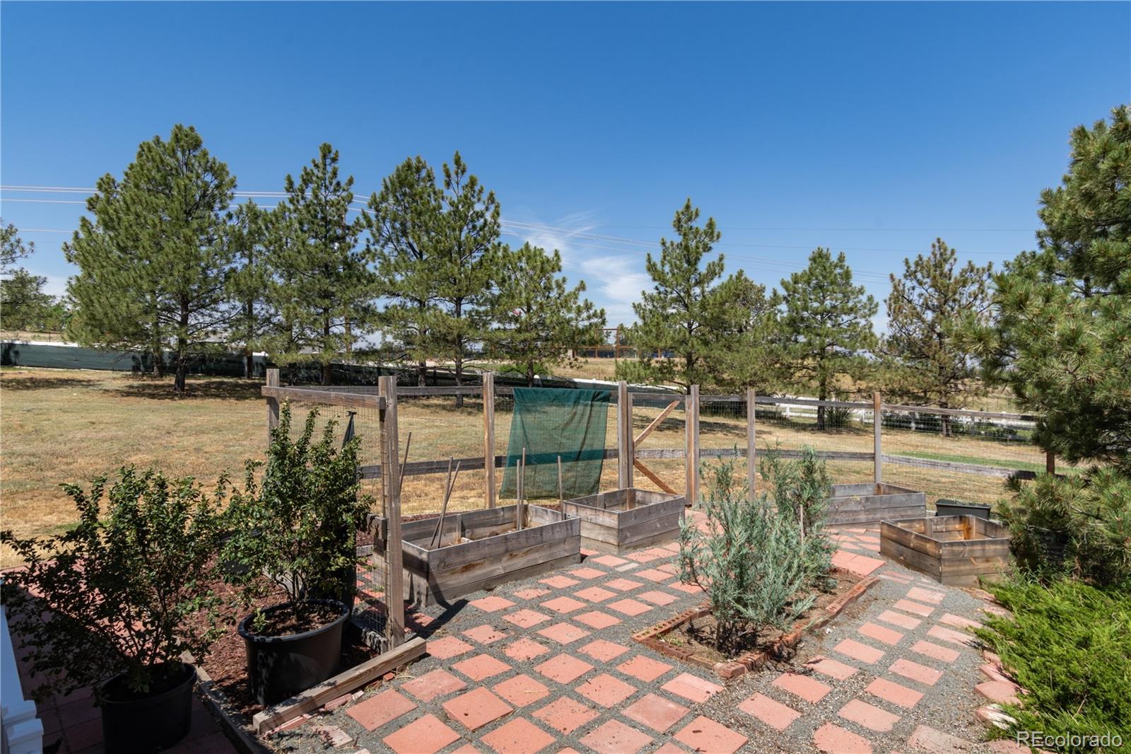 MLS Image #43 for 7846  village road,parker, Colorado