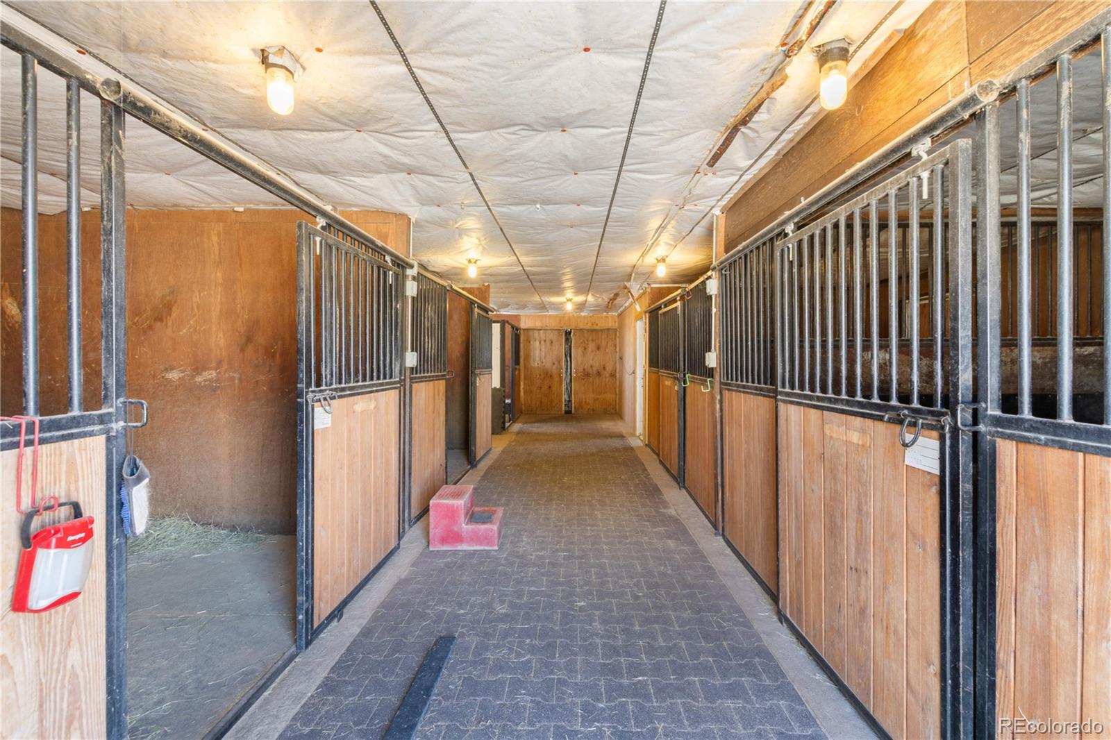 MLS Image #44 for 7846  village road,parker, Colorado