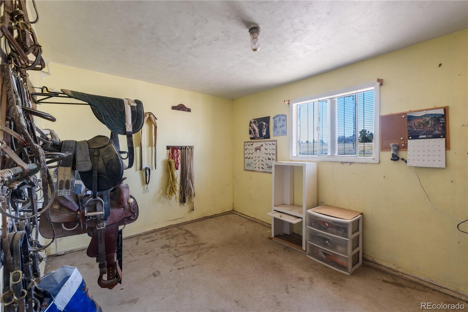 MLS Image #46 for 7846  village road,parker, Colorado