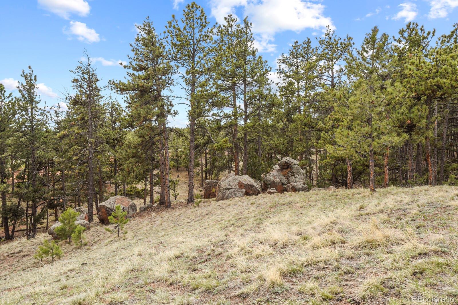 MLS Image #38 for 696  calle de la nieva ,florissant, Colorado