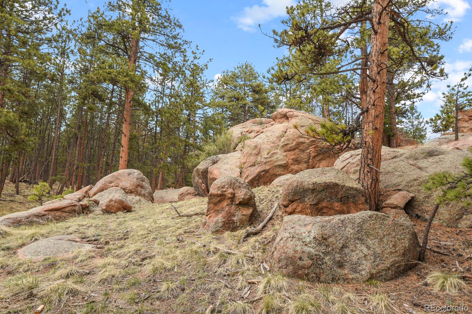 MLS Image #39 for 696  calle de la nieva ,florissant, Colorado