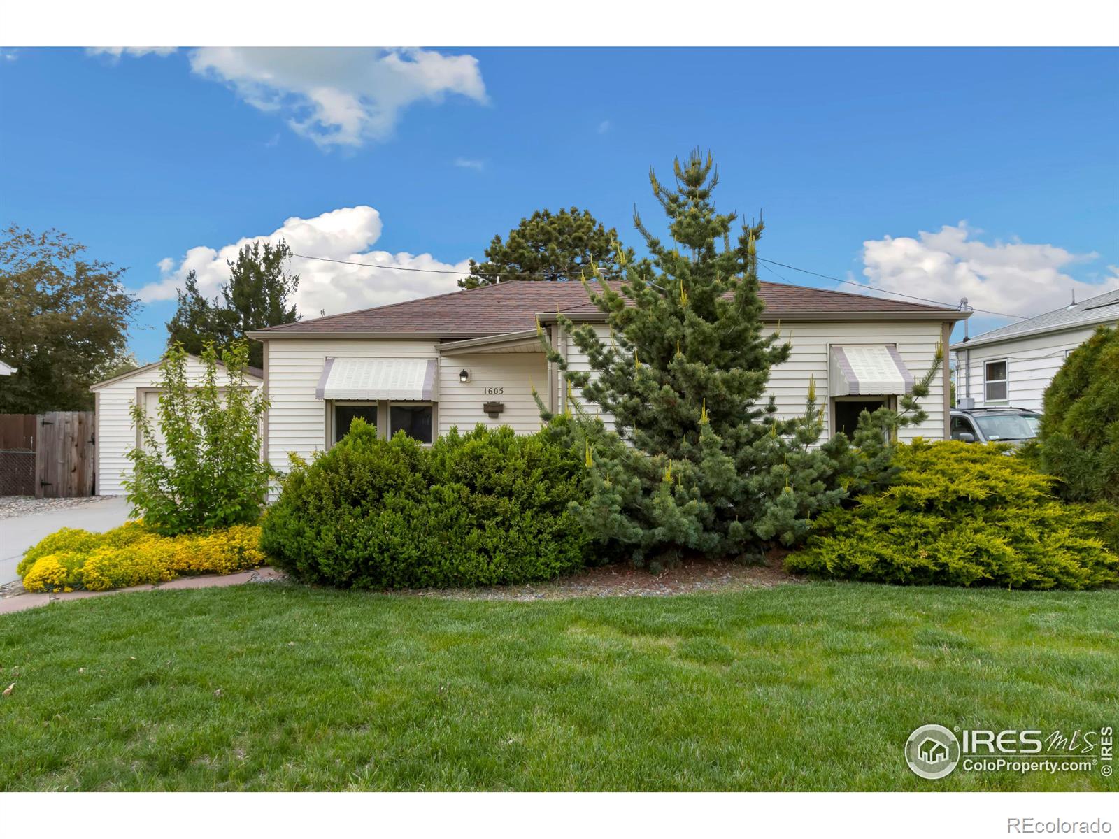 Report Image for 1605  Jackson Avenue,Loveland, Colorado