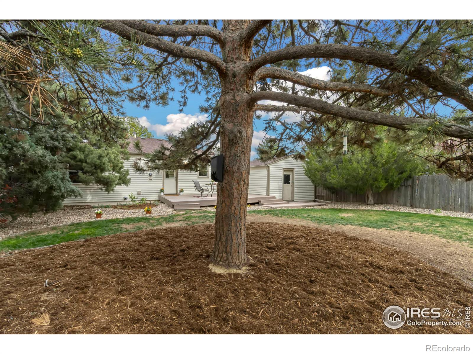 MLS Image #17 for 1605  jackson avenue,loveland, Colorado