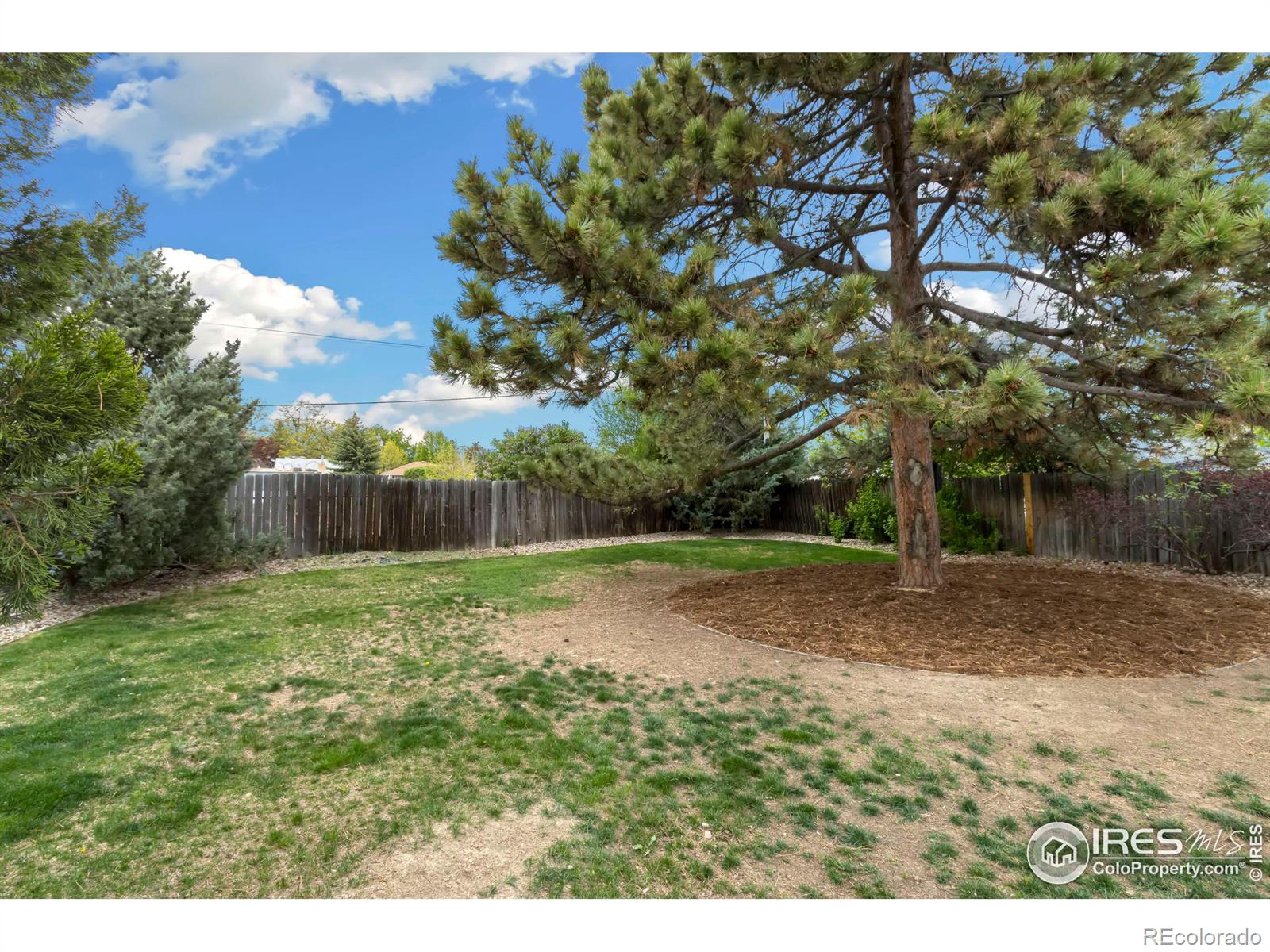 MLS Image #21 for 1605  jackson avenue,loveland, Colorado