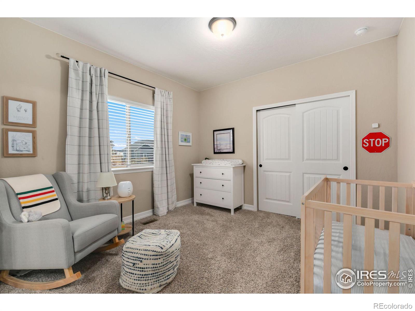 MLS Image #23 for 5570  teeling court,timnath, Colorado