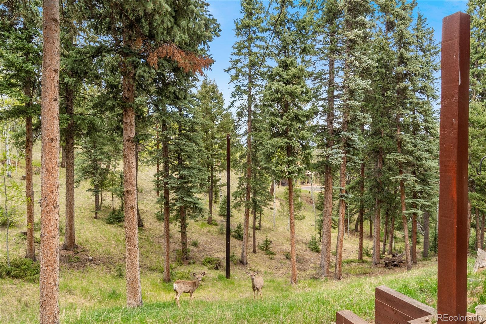 MLS Image #38 for 101  heather circle,divide, Colorado