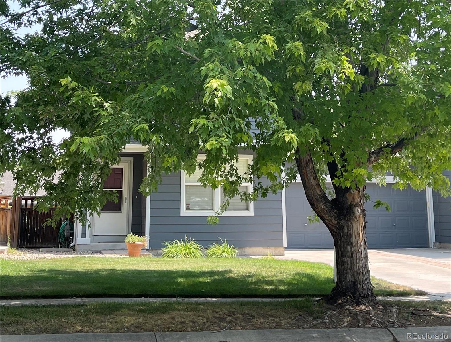 MLS Image #0 for 544  tanager street,brighton, Colorado