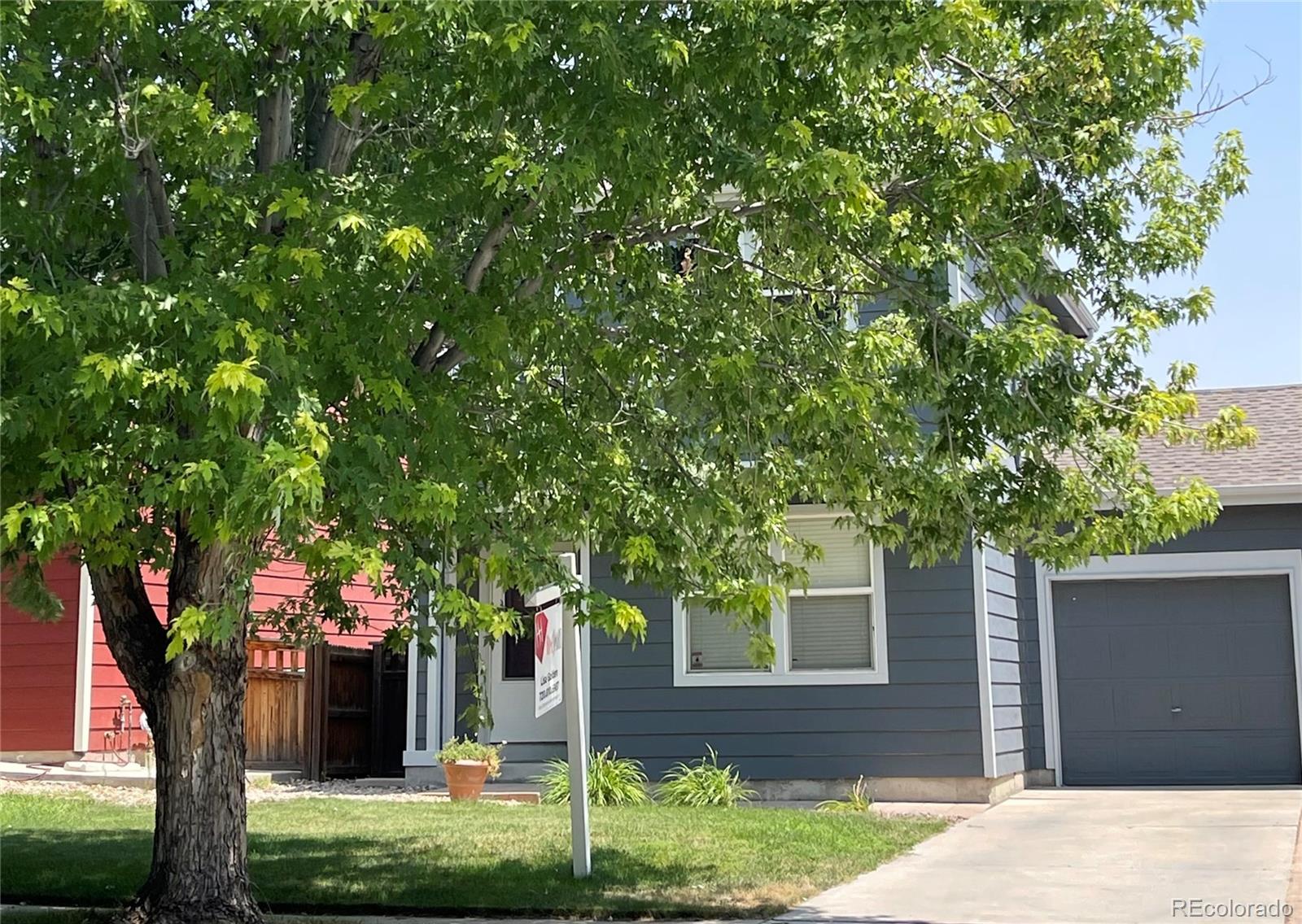 Report Image for 544  Tanager Street,Brighton, Colorado