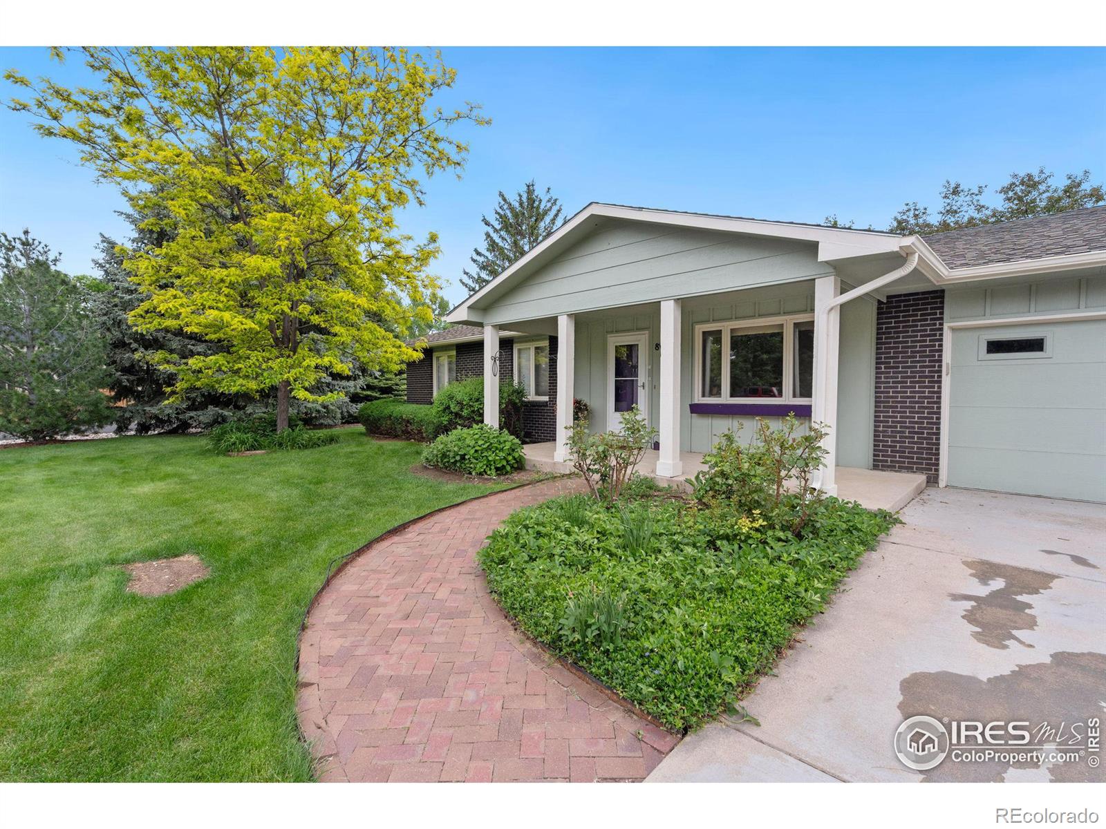 MLS Image #2 for 809  dellwood drive,fort collins, Colorado