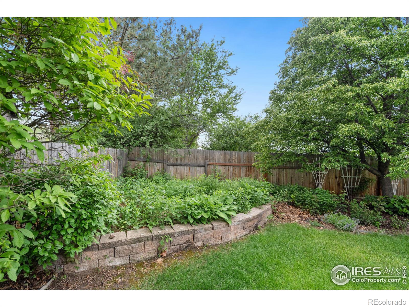 MLS Image #25 for 809  dellwood drive,fort collins, Colorado