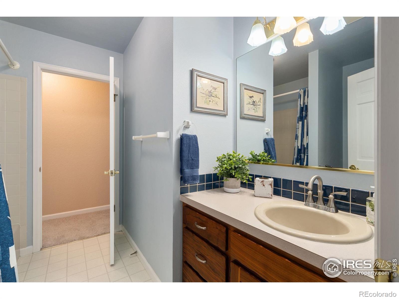 MLS Image #36 for 809  dellwood drive,fort collins, Colorado