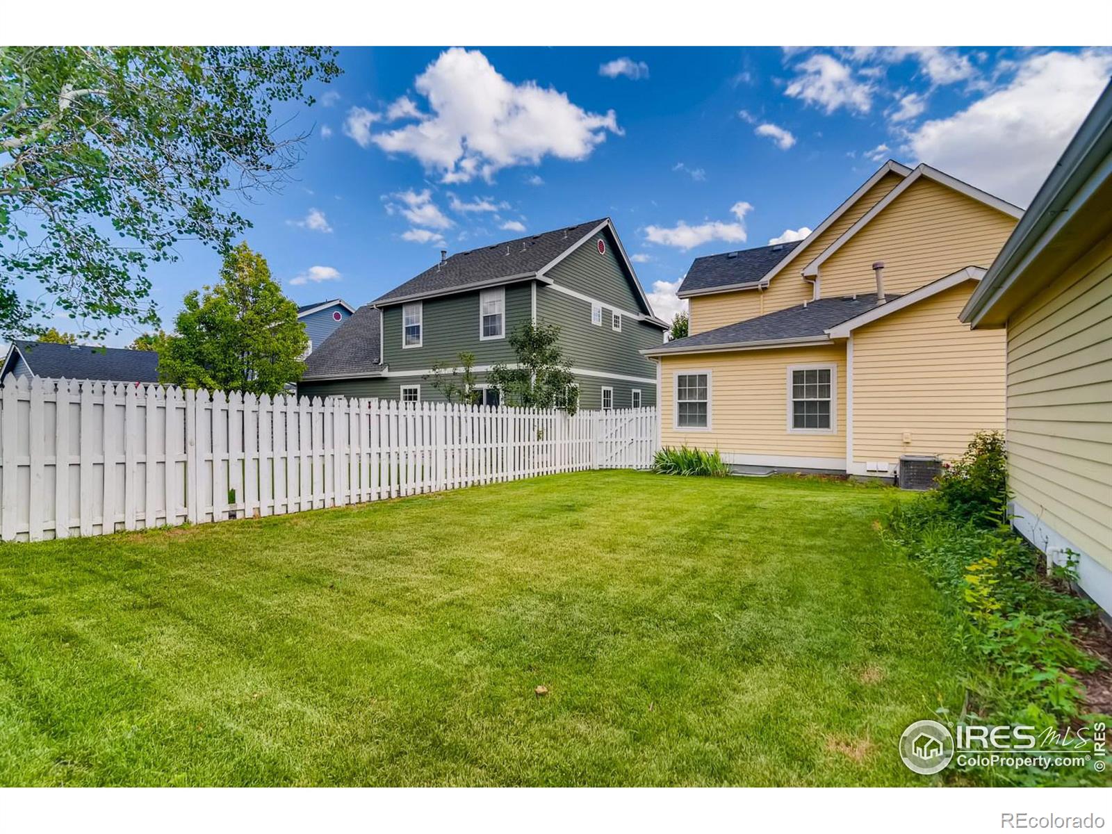 MLS Image #25 for 1412  grand avenue,windsor, Colorado