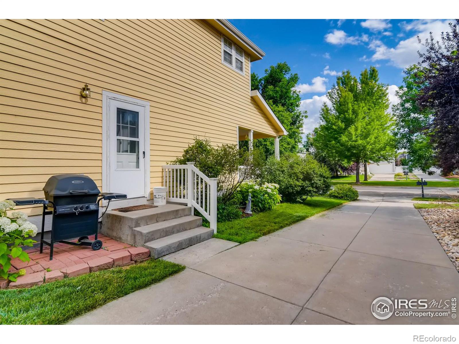 MLS Image #26 for 1412  grand avenue,windsor, Colorado