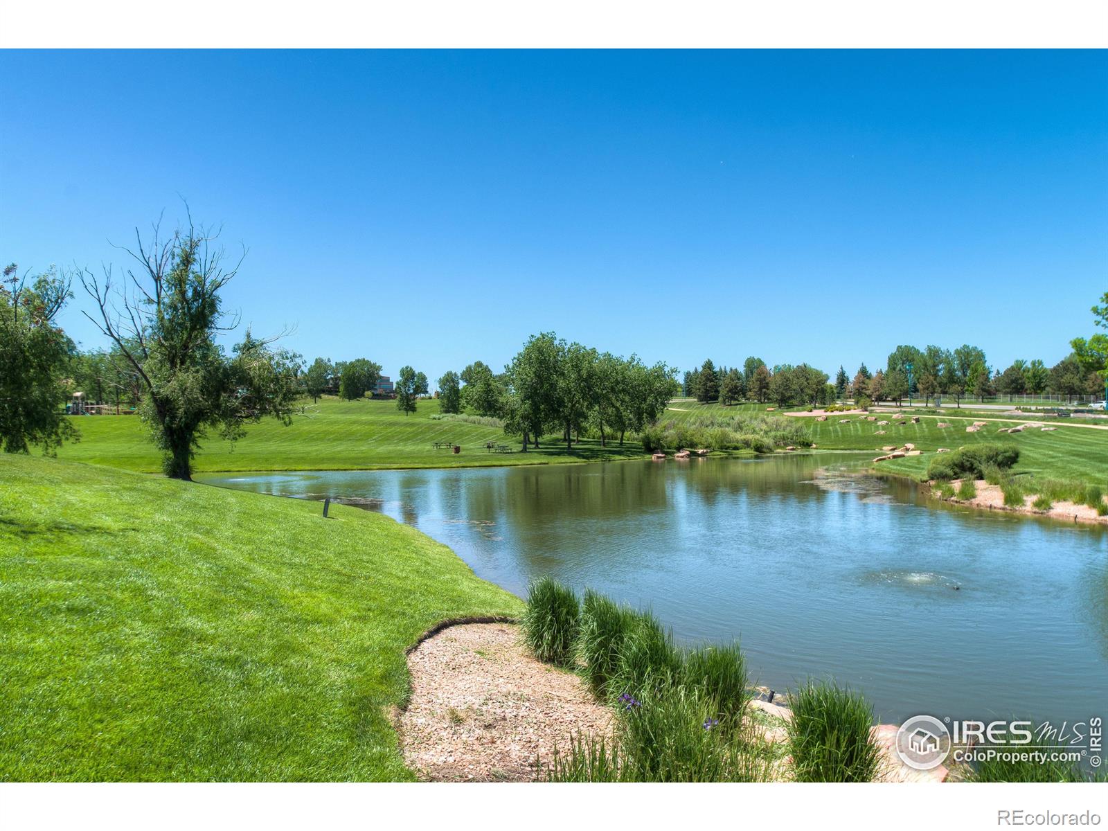 MLS Image #33 for 1854  mallard drive,superior, Colorado