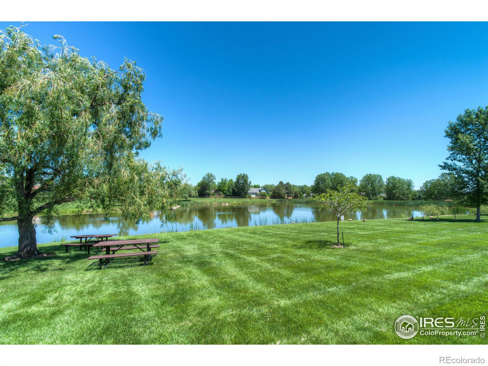 MLS Image #35 for 1854  mallard drive,superior, Colorado