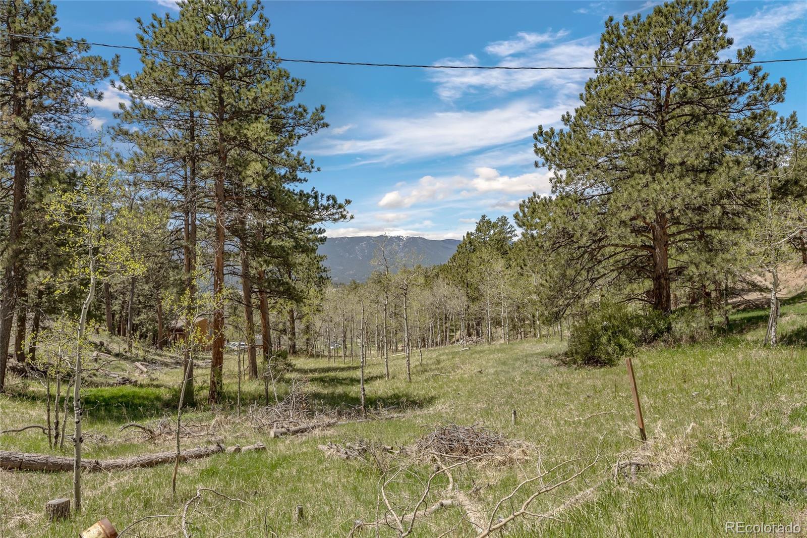 MLS Image #21 for 684  old state road,bailey, Colorado