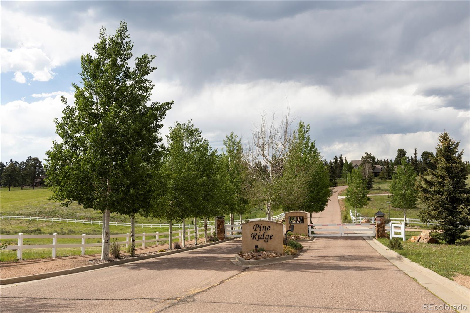 MLS Image #3 for 202  starlight heights,divide, Colorado