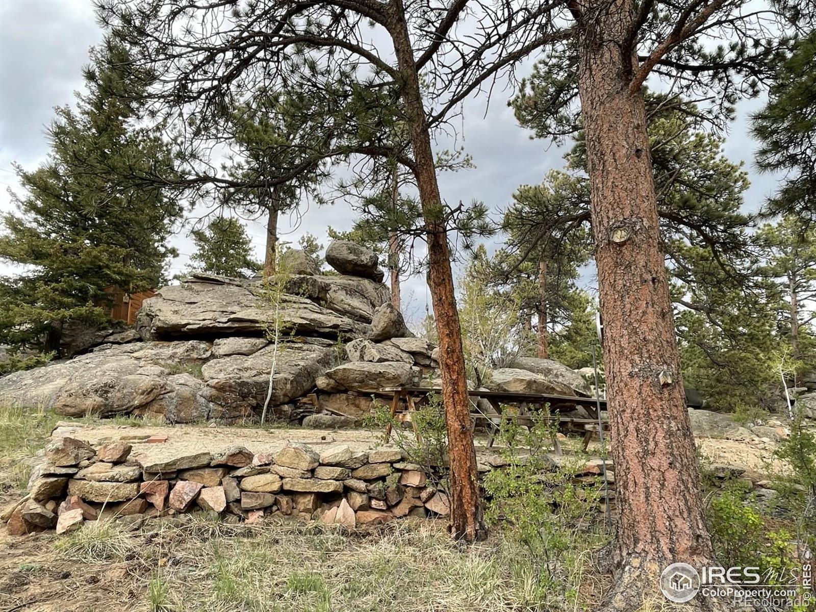 MLS Image #27 for 26  yellow wolf way,red feather lakes, Colorado