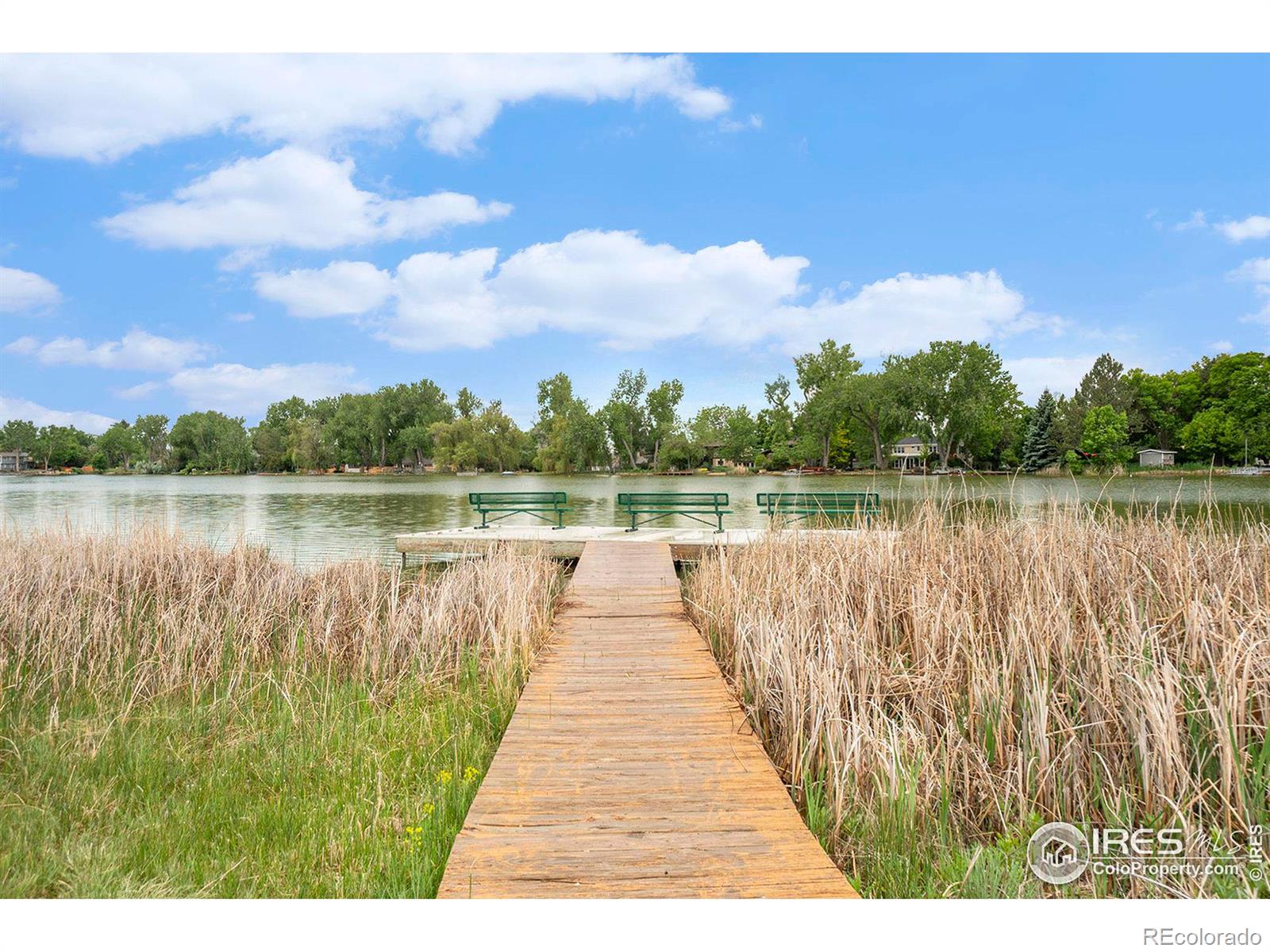 MLS Image #36 for 163  camino real ,fort collins, Colorado