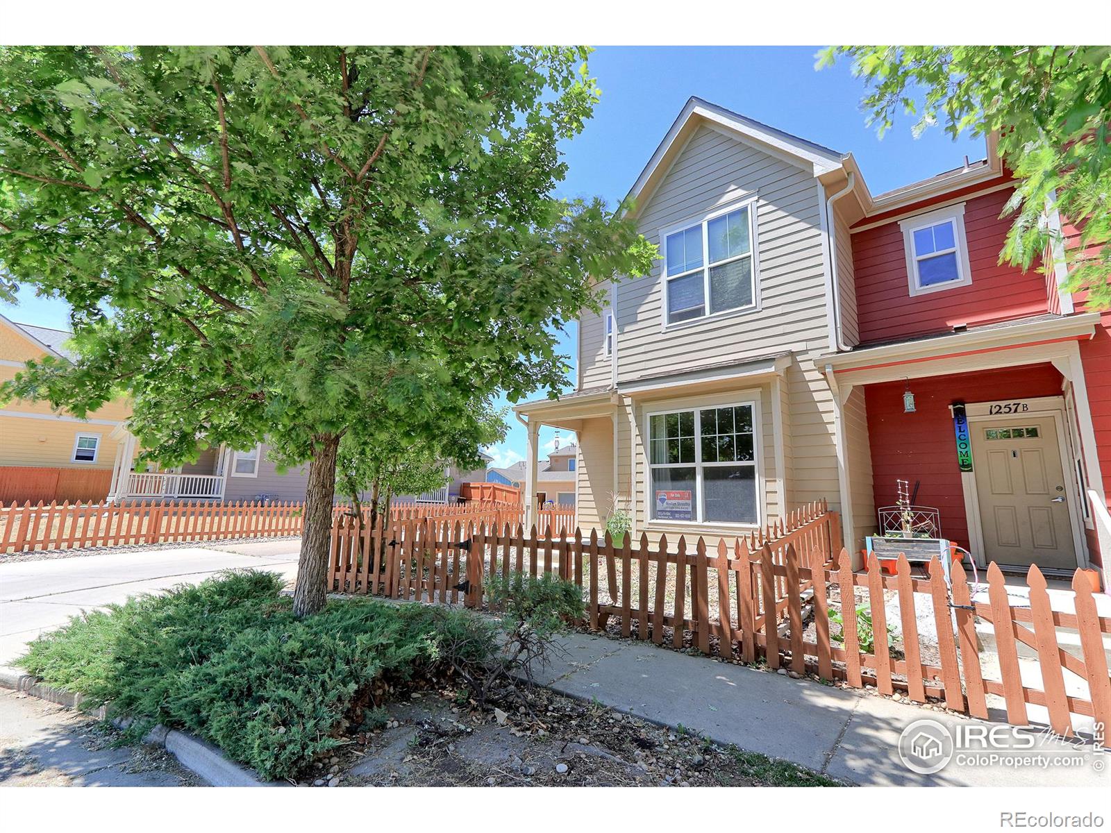 MLS Image #1 for 1257  hummingbird circle,longmont, Colorado